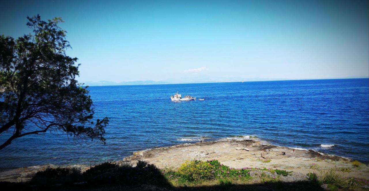 Daskalio Beach Hotel Keratea Zewnętrze zdjęcie